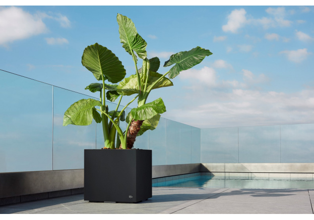 ¡Vive un verano verde y sin mosquitos!